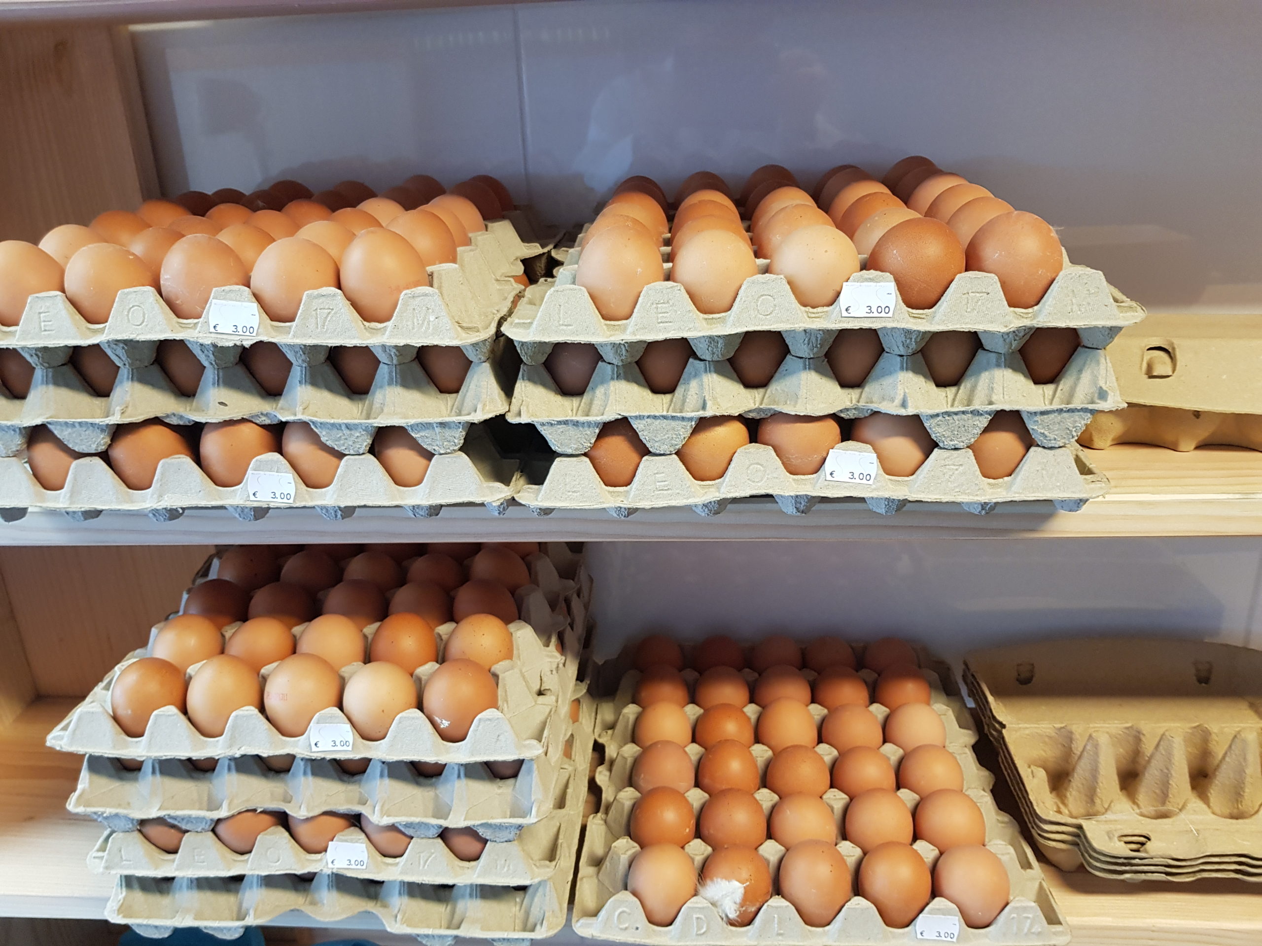 Opnemen Onrecht Decoderen Eieren 30 stuks. - De Winkel.shop